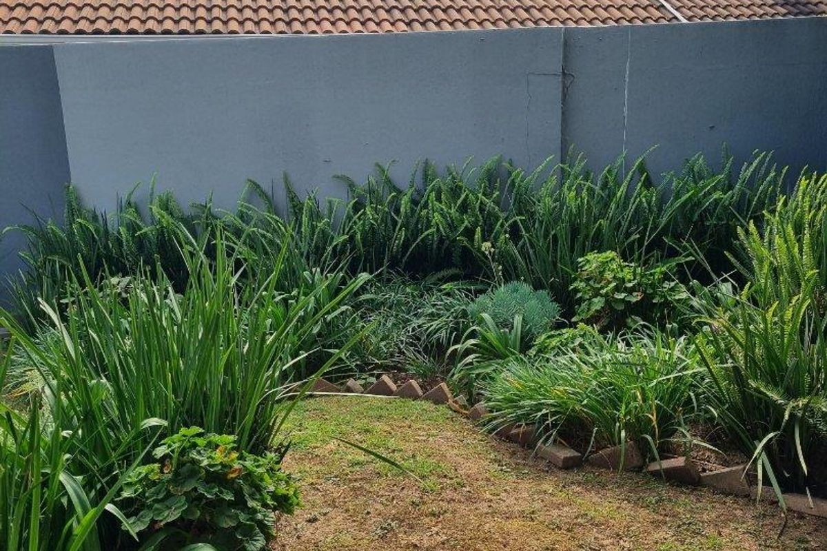 Lovely Townhouse for Sale in Sonneglans Randburg - Photo 4