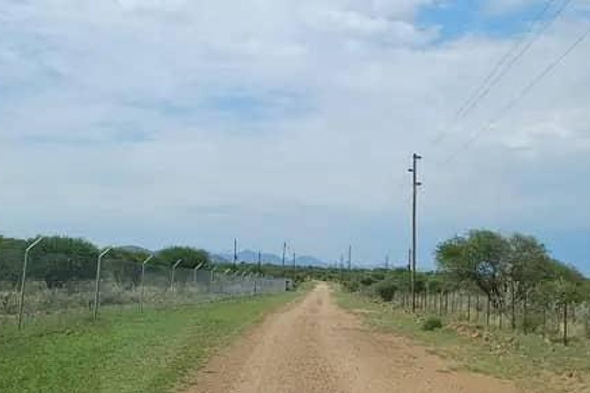 5 Hectare Plot for sale in Osona! - Photo 2