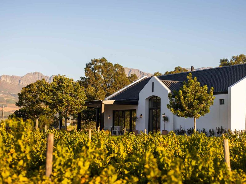 Modern Winelands Living with an Exceptional Four-Bedroom Plot-and-Plan Home on Paarl Valleij Lifestyle Estate & Farm - Photo 8