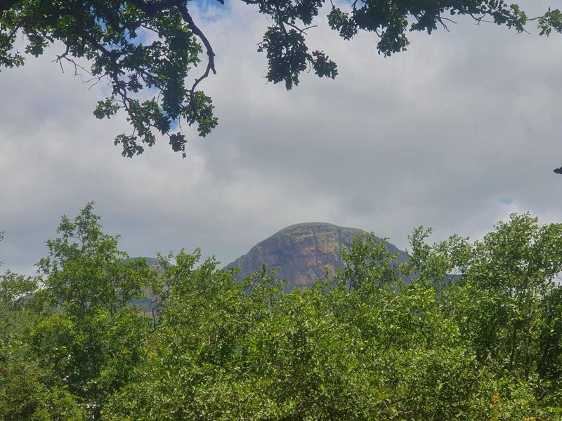 Nature Lovers Piece of Paradise!! - Photo 3