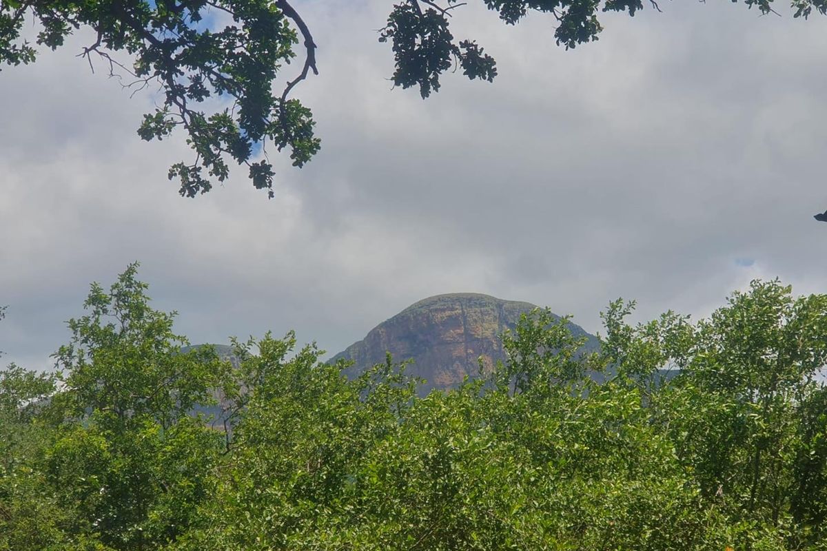 Nature Lovers Piece of Paradise!! - Photo 3