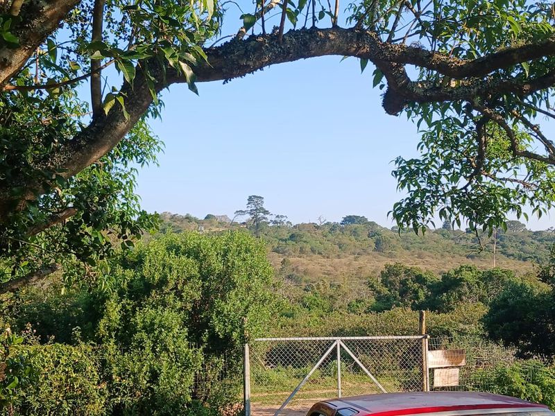 A scenic view of the surrounding landscape and natural vegetation, framed by mature trees and secured by a chain-link fence and gate.