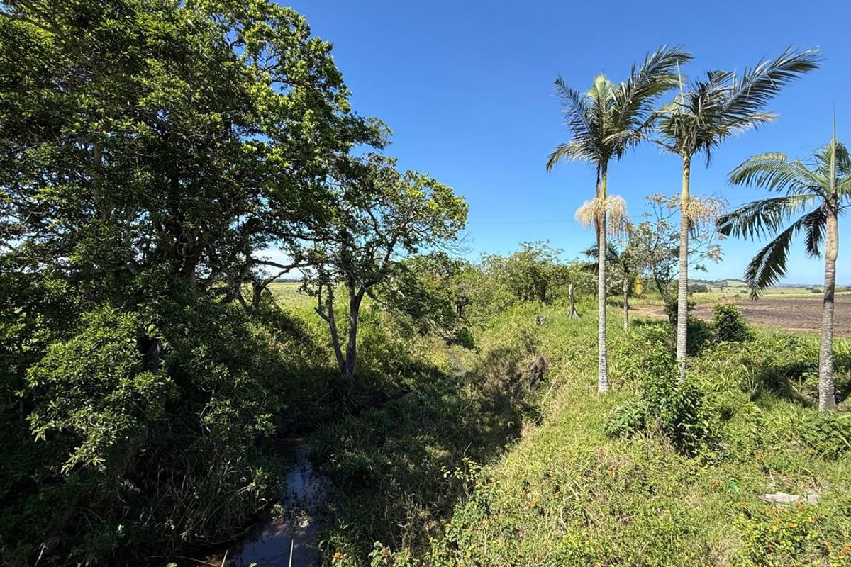 A scenic view of the farm landscape featuring mature trees, palm trees, and a natural stream running through the property.