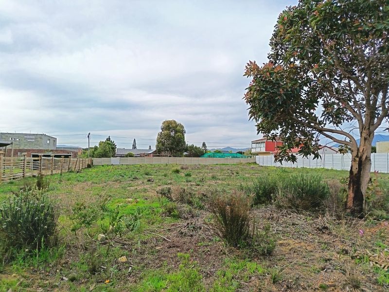 Two for the price of one - Photo 2