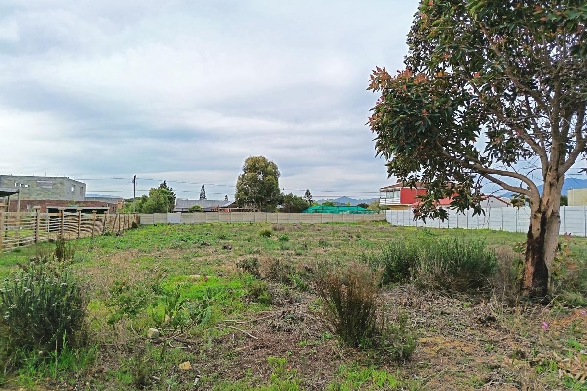 Two for the price of one - Photo 2