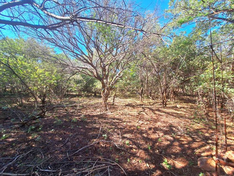 Secure Your Slice of Leeupoort's Natural Beauty Today - Photo 8