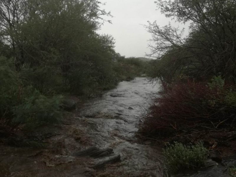 REDUCED!!! Farm south of Karibib 13 222 HA - Photo 5