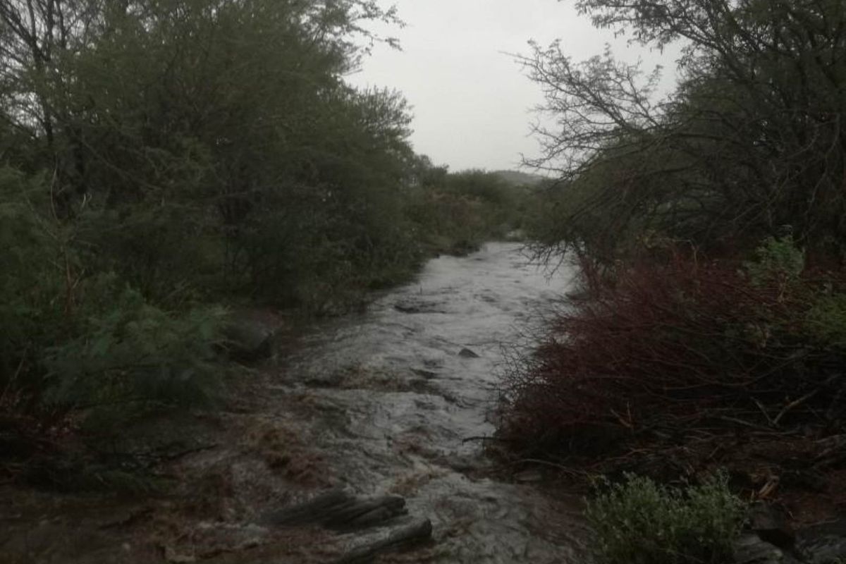 REDUCED!!! Farm south of Karibib 13 222 HA - Photo 5