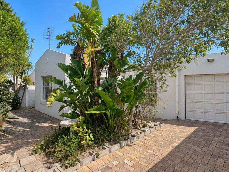 Front view of the property featuring a paved driveway, single garage, and established garden landscaping.