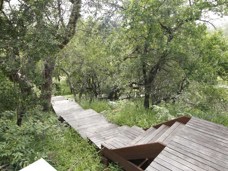 ZANDSPRUIT BUSH & AERO ESTATE – LUXURY 4 BEDROOM HOME TO RENT - Photo 6