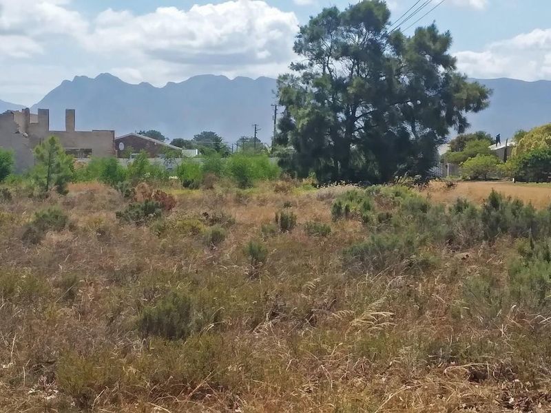 Sail into the sunset - Photo 5