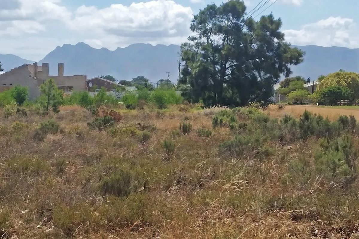 Sail into the sunset - Photo 5