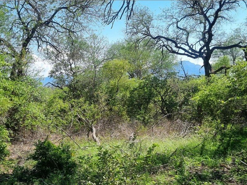 Prime Location in Big 4 Game Reserve!! - Photo 3
