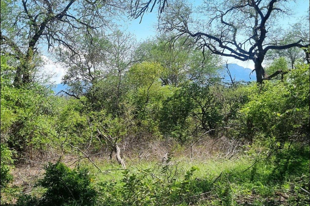 Prime Location in Big 4 Game Reserve!! - Photo 3