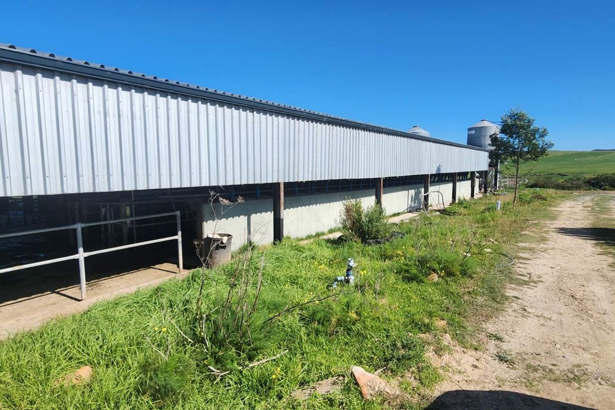 Exterior view of a large agricultural shed featuring corrugated metal cladding, steel structural supports, and adjacent silos on a rural farm property.