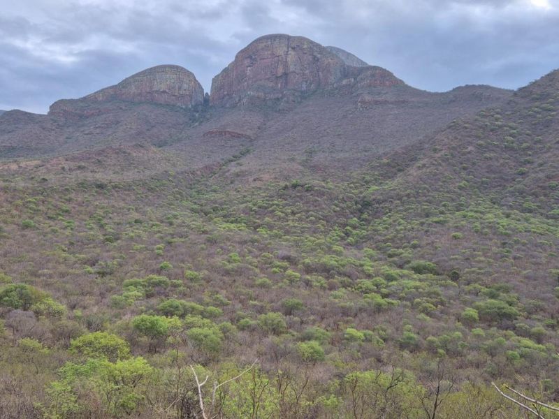 Nature Lovers Piece of Paradise!! - Photo 2