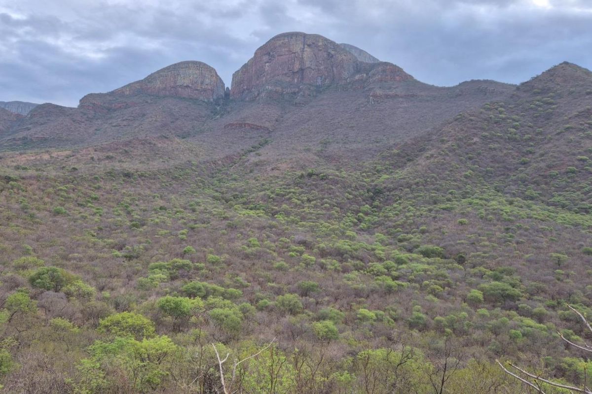 Nature Lovers Piece of Paradise!! - Photo 2