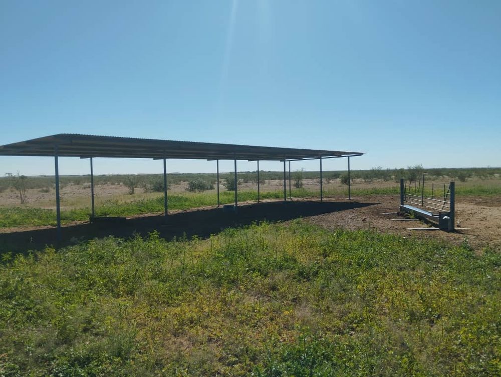 Shaded Area for Livestock