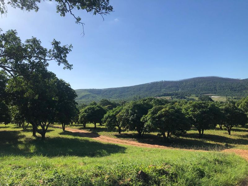 The Perfect Retreat: Farm Life Close to Tzaneen! - Photo 4