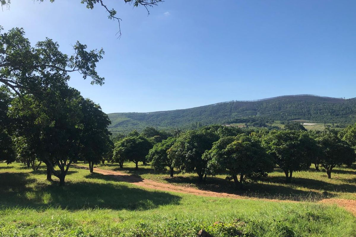 The Perfect Retreat: Farm Life Close to Tzaneen! - Photo 4