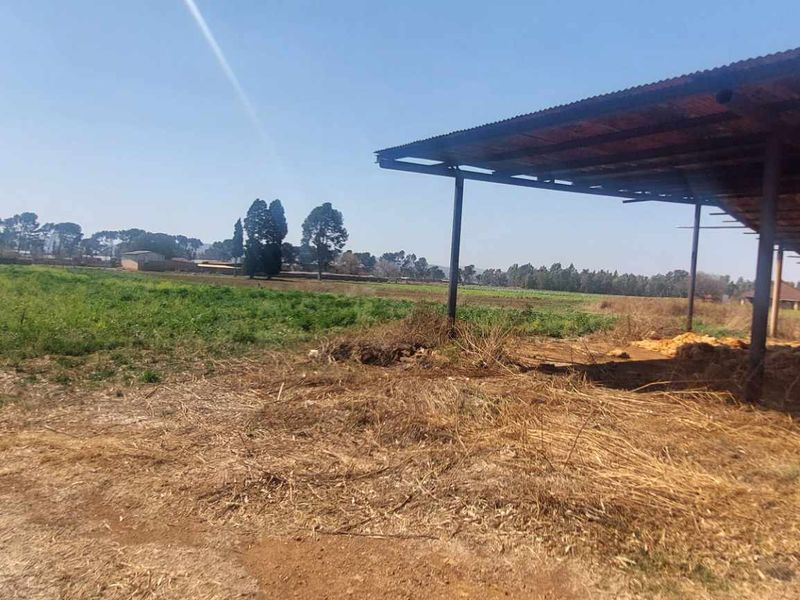 Thriving Vegetable Farm in Eikenhof for sale - Photo 8