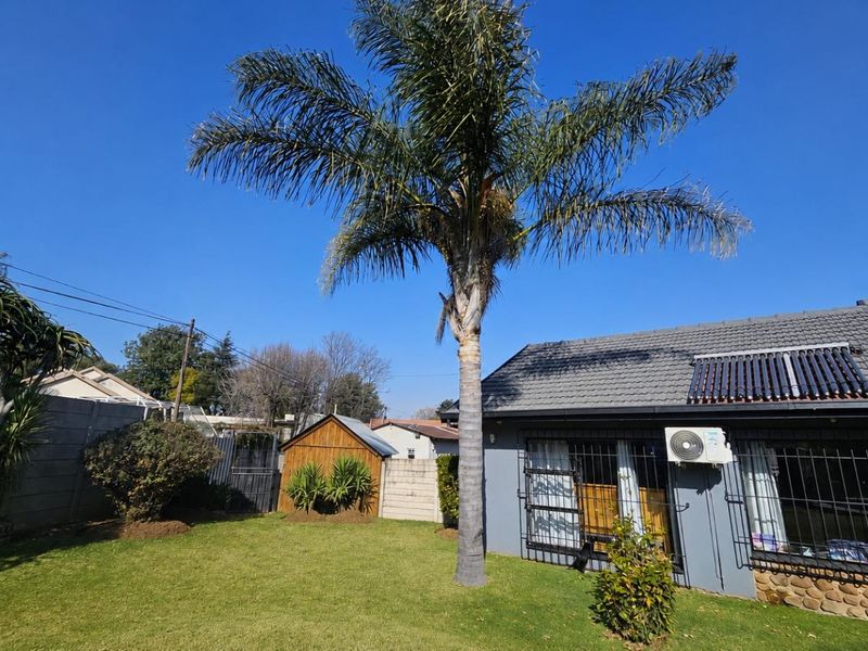 Rear garden view featuring a well-maintained lawn, mature palm tree, solar water heating system, and secure exterior walling.