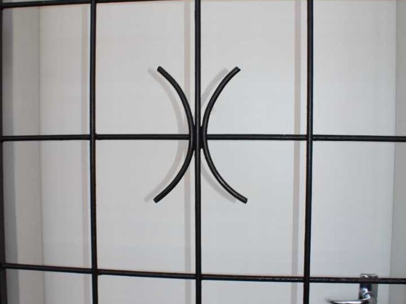 A secure entrance door featuring a black metal security gate with decorative detailing.