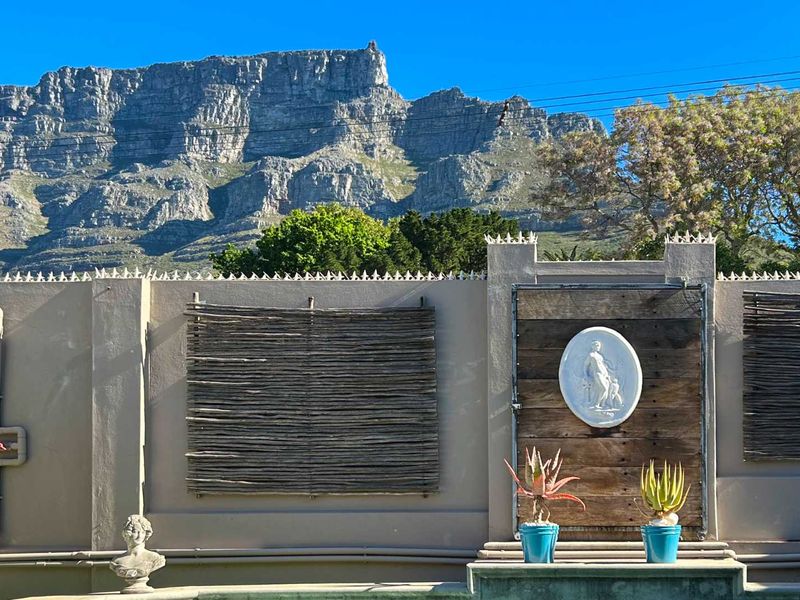 THE ENTERTAINER - Photo 6