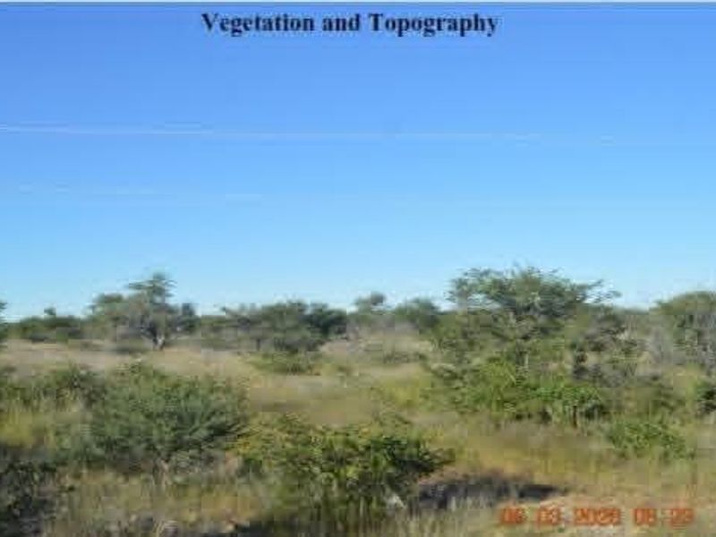 A view of the natural vegetation and topography on the farm property.