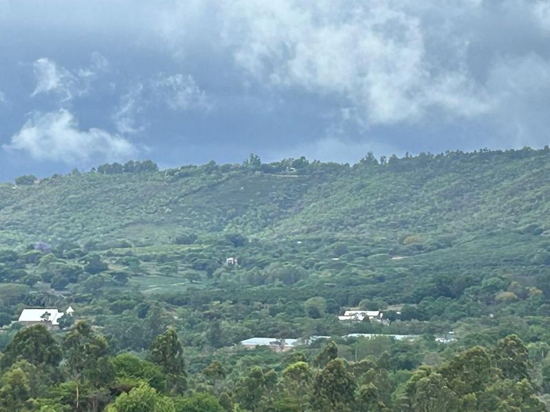 Double Storey 5-Bedroom Home with En-Suites, Balcony & Veranda Views a Stone's Throw from Tzaneen - Photo 2