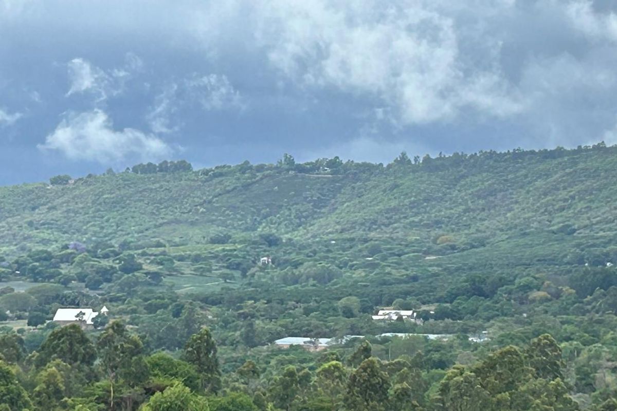 Double Storey 5-Bedroom Home with En-Suites, Balcony & Veranda Views a Stone's Throw from Tzaneen - Photo 2