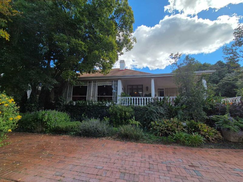 GRANDEUR OLD DAME NEEDS A FRESH START - Photo 6