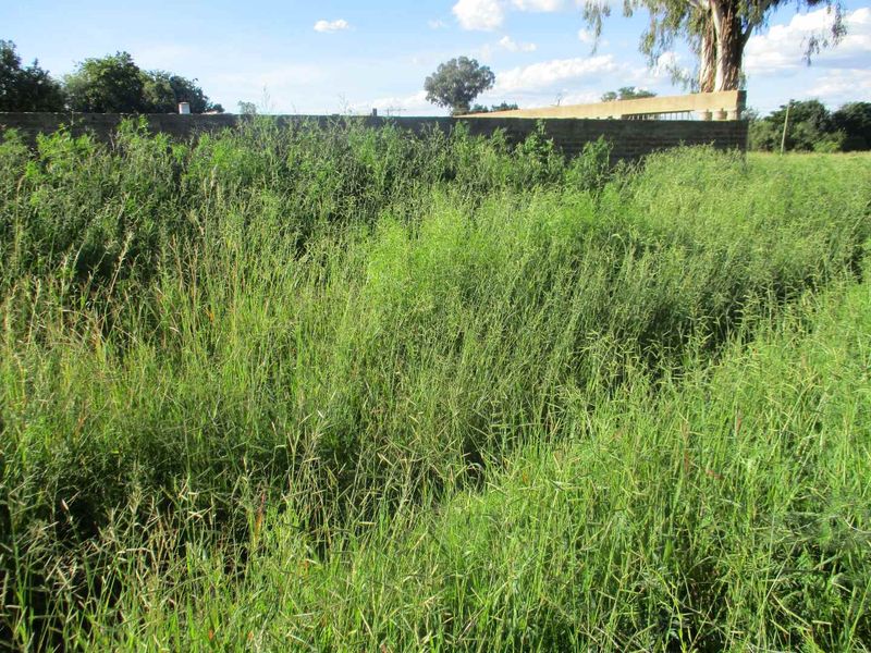 PRIME LAND AND LOCATION ! - Photo 7