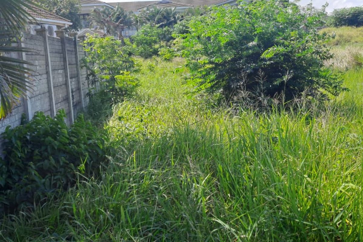 Vacant Residential Land – Birdswood, Richards Bay - Photo 3