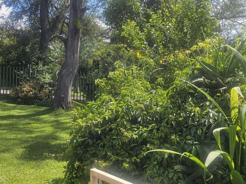 3 bedroom apartment for sale in elandsrand - Photo 2