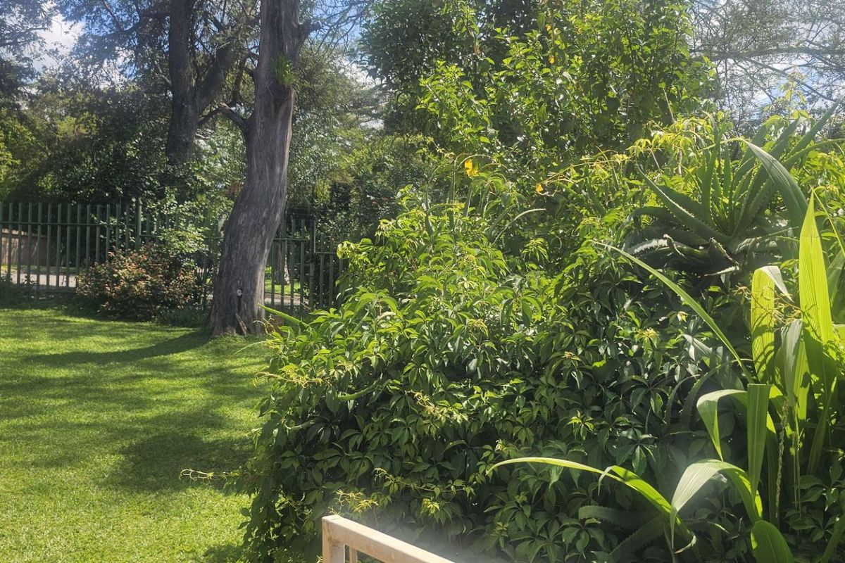 3 bedroom apartment for sale in elandsrand - Photo 2