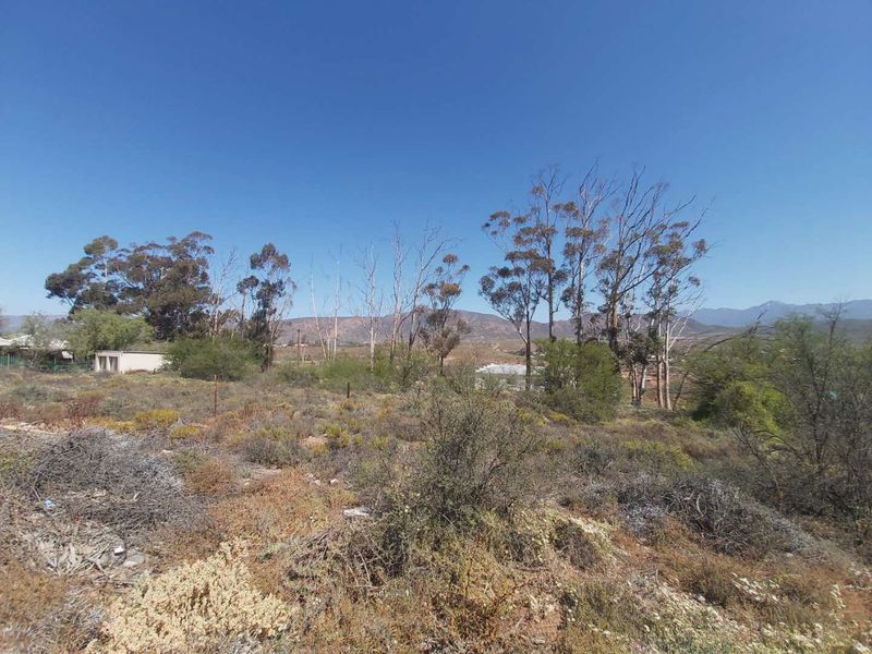A scenic view of the vacant residential land featuring natural vegetation, mature trees, and distant mountain vistas under a clear blue sky.