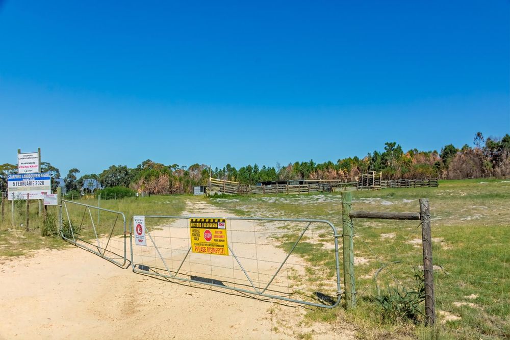 The Animal Auction facility