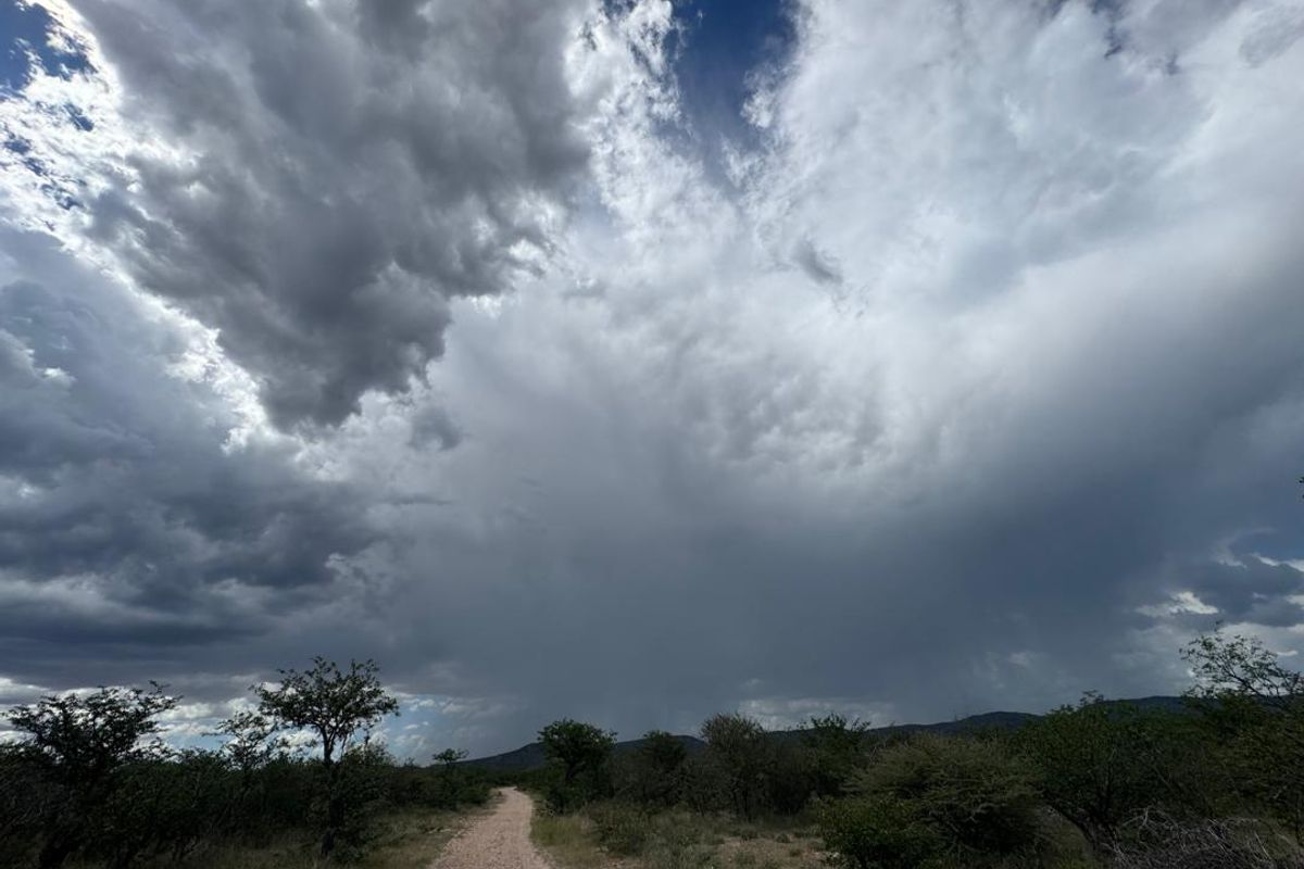 CLASSIC NAMIBIAN LODGE FOR SALE – OUTJO DISTRICT - Photo 3