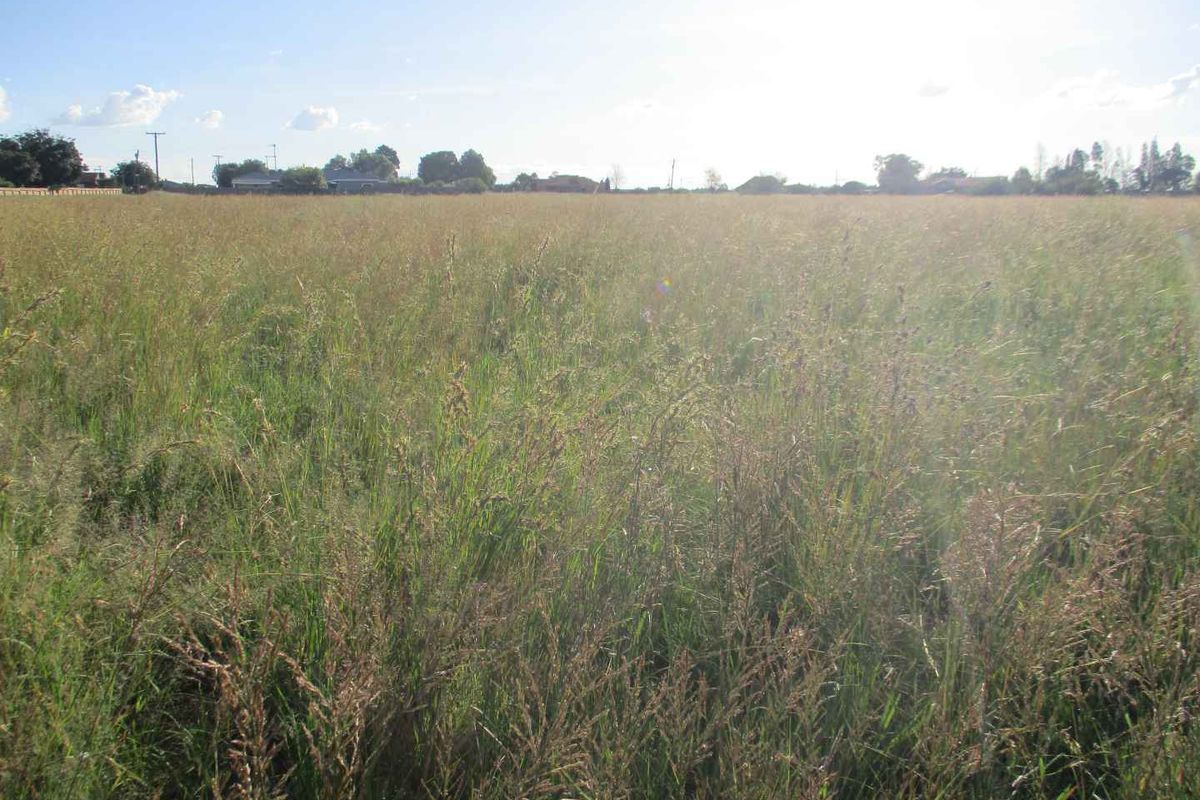 VACANT LAND IN HENLEY - Photo 5