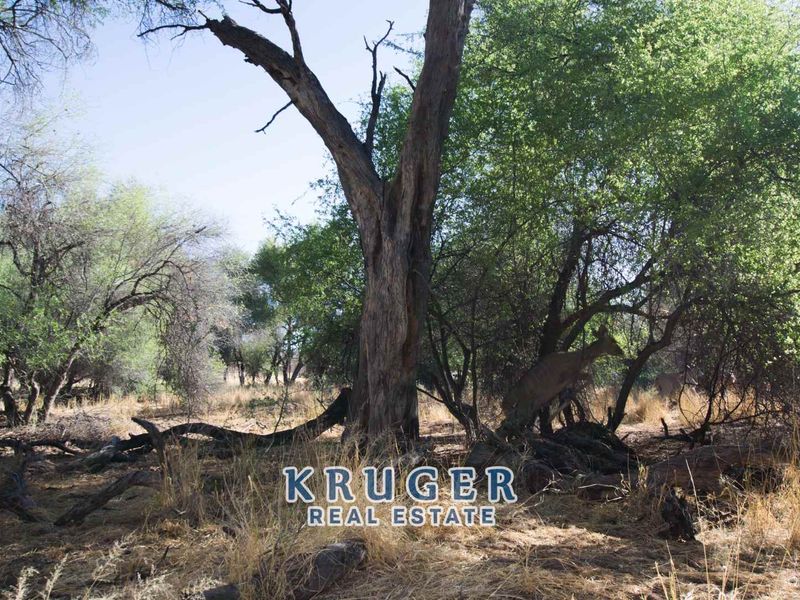 Agricultural smallholding situated approximate 20 km North-East of Omaruru on the banks of the Omaruru river - Photo 9