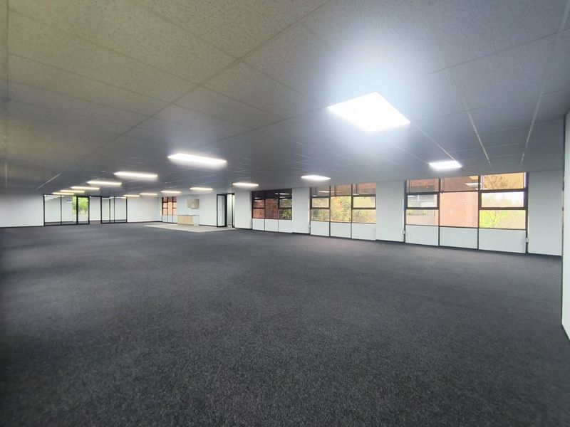 A spacious, open-plan office area featuring large windows, carpeted flooring, and a suspended ceiling with recessed lighting, offering a versatile workspace.