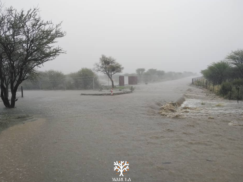 5-HECTARE PLOT AVAILABLE WITH RURAL-RESIDENTIAL ZONING - Photo 4