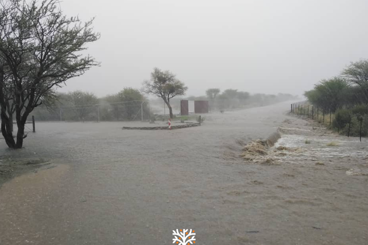 5-HECTARE PLOT AVAILABLE WITH RURAL-RESIDENTIAL ZONING - Photo 4