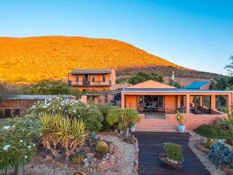 AN INVESTMENT IN PEACE, PURPOSE AND UNPARALLELED BEAUTY - ORGANIC OLIVE FARM FOR SALE - Photo 3