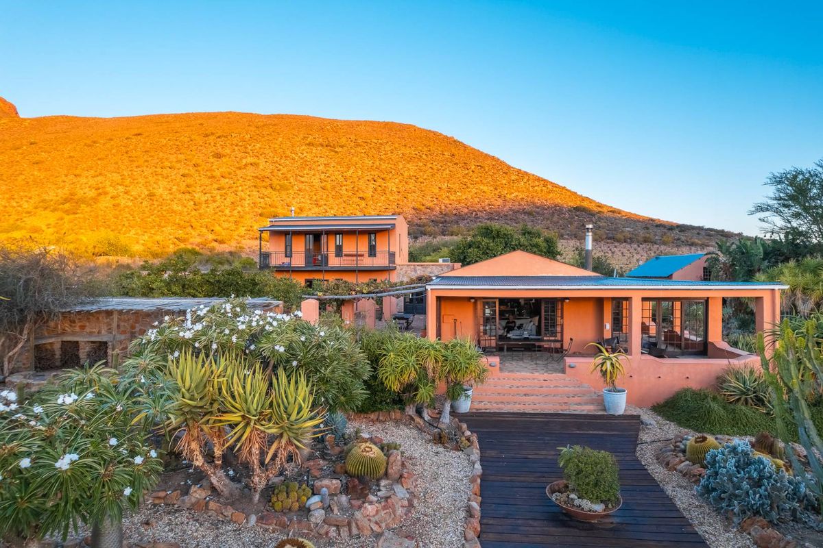 AN INVESTMENT IN PEACE, PURPOSE AND UNPARALLELED BEAUTY - ORGANIC OLIVE FARM FOR SALE - Photo 3