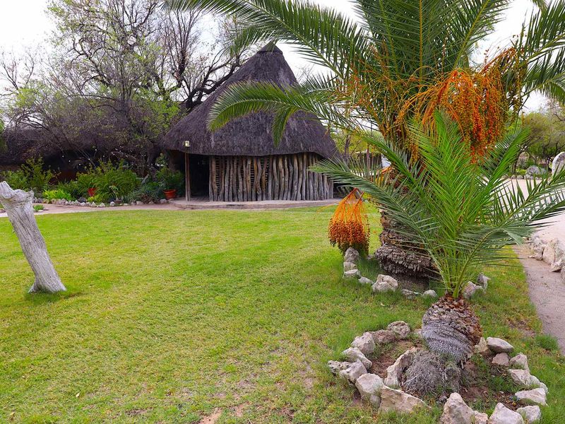 Established Lodge for Sale on Leasehold Land with Bar, Restaurant & Accommodation - Tsumkwe - Photo 6