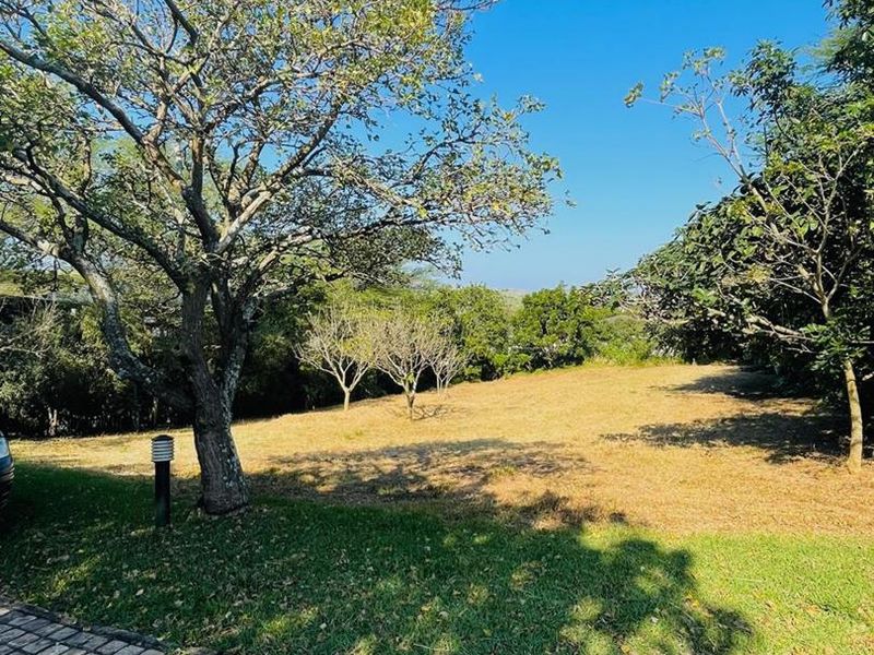 A view of a vacant residential plot featuring mature trees, established grass, and a paved verge area.