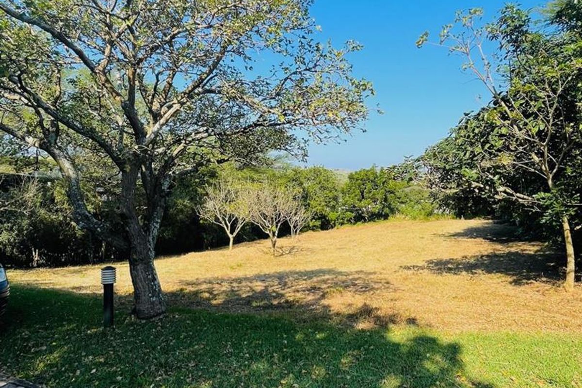 A view of a vacant residential plot featuring mature trees, established grass, and a paved verge area.