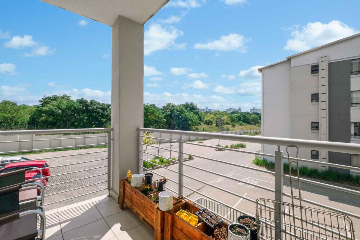 Immaculate 3 Bedroom, 2 Bathroom Apartment For Rent in Broadacres - Photo 5